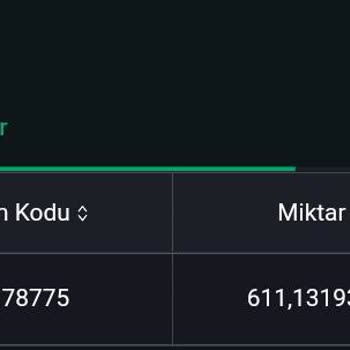 Bitci Borsası Çekim İşlemi Gerçekleştirmiyor