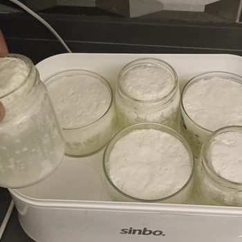 Atatürk Orman Çiftliği Günlük Süt Kalitesinde Düşüş Ve Su Katılması Sorunu