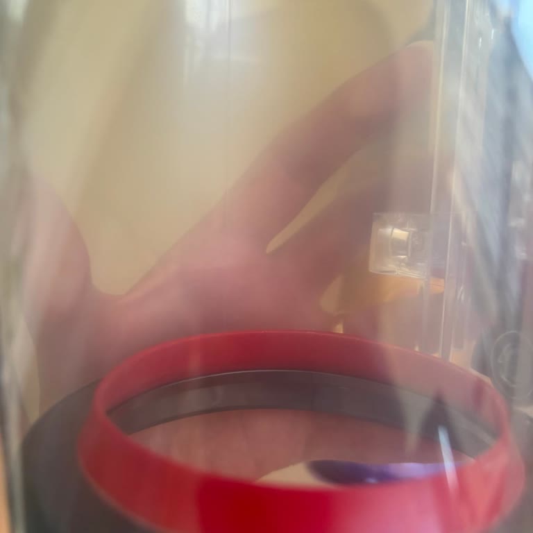 Dyson Toz Hazne Buğulanması