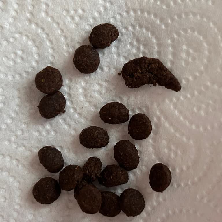 Farmina - N&D Mama N&D Tavuklu Narlı Az Tahıllı Yetişkin Kedi Maması Renk Farkı