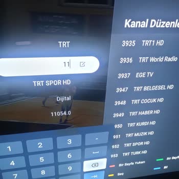 Vestel TV Kanal Silinme Sorunu