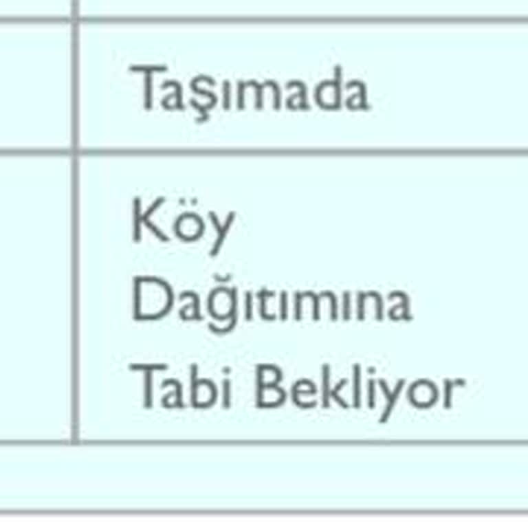 PTT Kargo Köy Dağıtımı Ne?