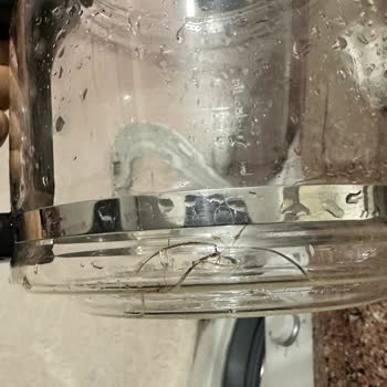 Arzum Filtre Kahve Makinesi, Üzüldüm :(