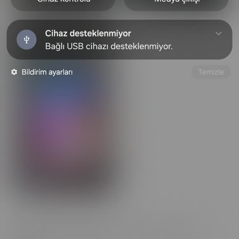 Samsung Bağlı USB Cihazı Desteklenmiyor