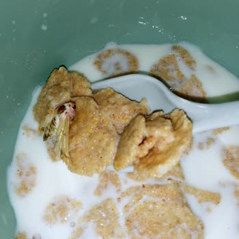 Kellogg's Mısır Gevreğinin İçinden Kelebek Çıktı