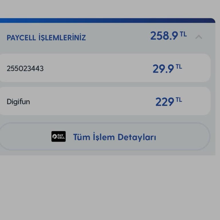 Digifun Aboneliğimi İptal Etme Para İadesi