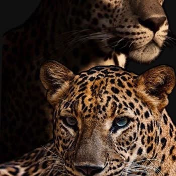 Sayrem Kentpark AVM Şubesinde Yediğim Menüden Zehirlendim