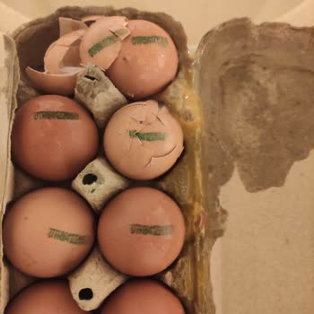 Migros Sanal Market Yumurta Siparişi