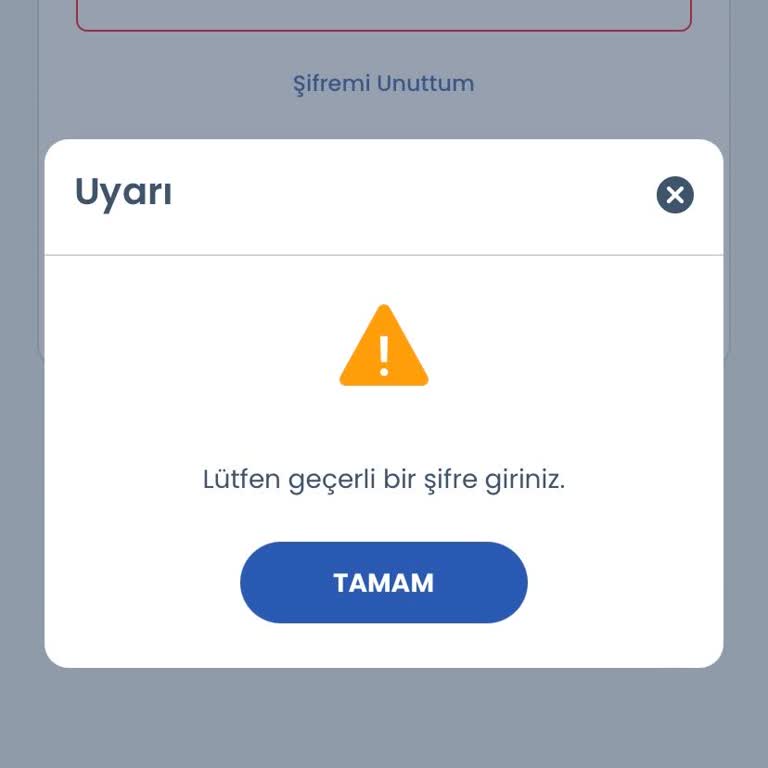 Tatilbudur Uygulaması Şifre Yanlış Yazıyor