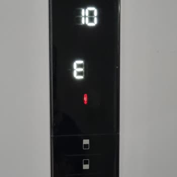 Vestel Almak Mı Tövbe, Aldığım Güne İsyan Ediyorum.