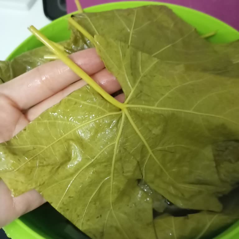 Koy_mahsulleri (Instagram) Salamura Yaprak Gösterdikleri Gibi Gelmedi!