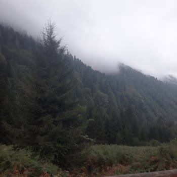 Mitratur Doğu Karadeniz Turunda Yaşanan Olumsuz Deneyim!