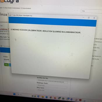 E-Tuğra İle E-Posta Gönderme Sorunları Ve Destek Erişimi