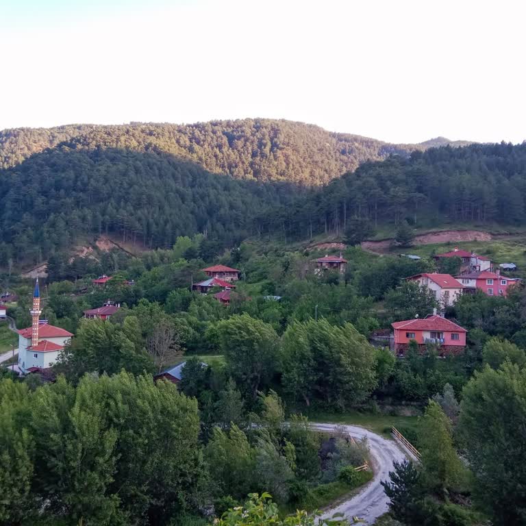 Türk Telekom Yıkılan Direkler İle İlgilenmiyor