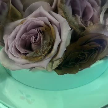 Çiçek Sepeti Ayıplı Ürün.