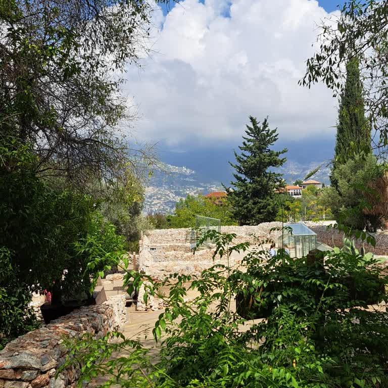 Türk Telekom Baz İstasyonu Çekmiyor