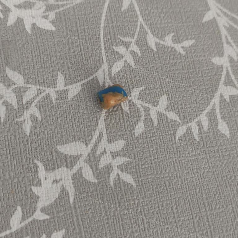 Nut Master Fıstık Ezmesi İçinden Plastik Birşey Çıktı