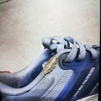 Adidas Sportschuhe nach 6 Monaten Schäden an Sohlen und Nähten, Rückerstattung gefordert