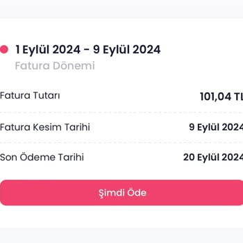 Netspeed İptal Edilen Hizmet İçin Fazladan Fatura Kesti