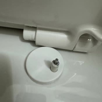 Vitra Klozet Kapağı Menteşe Kırılması Sorunu