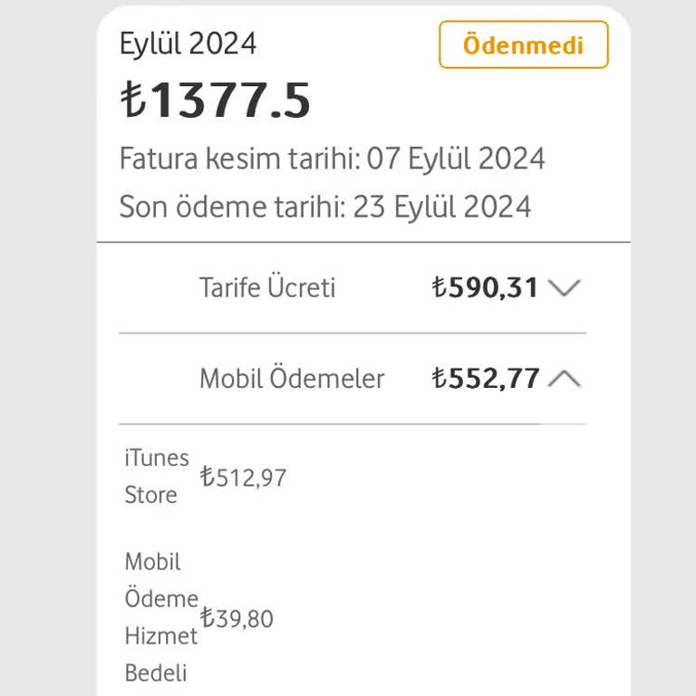 Yanlış iTunes Ücreti ve Ulaşılamayan Müşteri Hizmetleri