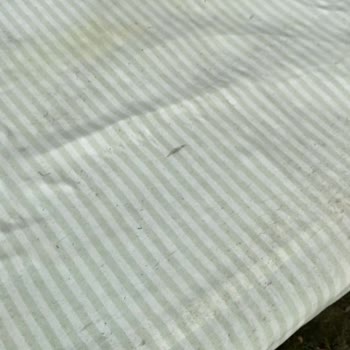 Sapanca Buanes Bungalow Para İadesi Yapmadı!