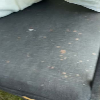 Sapanca Buanes Bungalow Para İadesi Yapmadı!