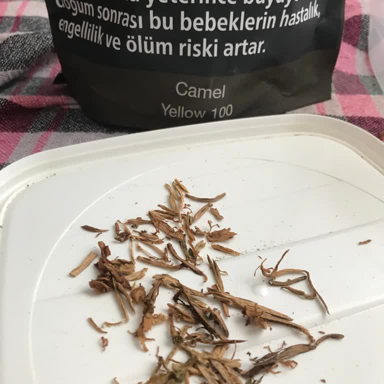 Camel Yellow 100gr