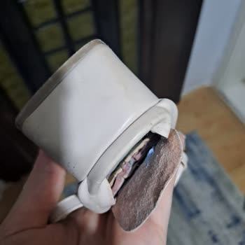 Elvinintarzi.com Elvinin Tarzı Şikayet