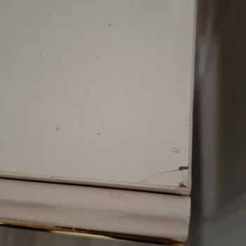 Modalife'tan Alınan Düğün Paketi Sorunu Hk.