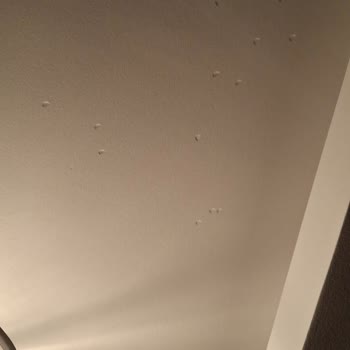 Modalife'tan Alınan Düğün Paketi Sorunu Hk.