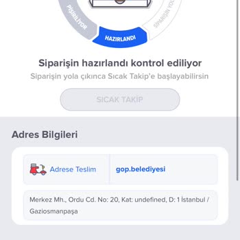 Domino's Pizza Ciddiyetsizliği Had Safhada