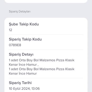 Domino's Pizza Ciddiyetsizliği Had Safhada