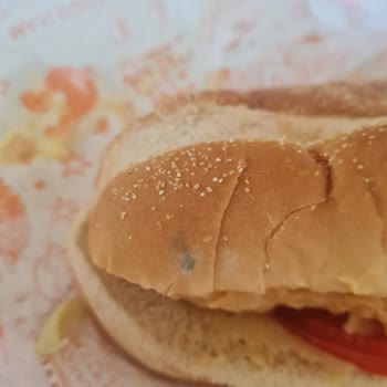 Yemeksepeti Popeyes Küflü Ekmek Geldi