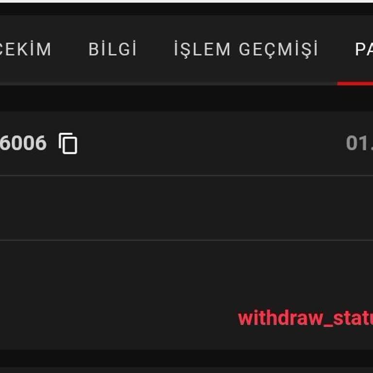 Casiwoon Ödemeyi Yapmıyor (3980 ₺)