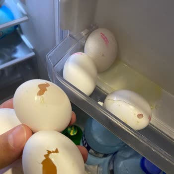 BİM'in Patlayan Balon Yumurtaları.
