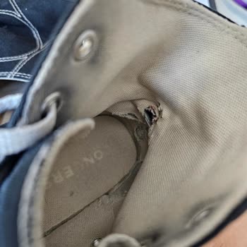 Converse İlgisiz Ve Dikkate Almıyor