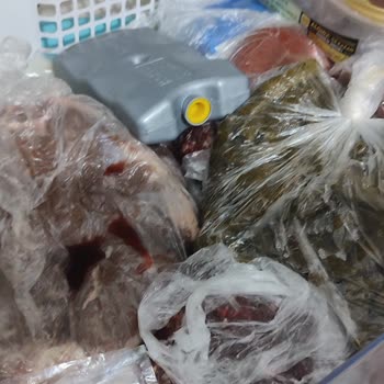 Beko Buzdolabı Arızası Sebebi