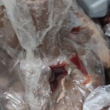 Beko Buzdolabı Arızası Sebebi