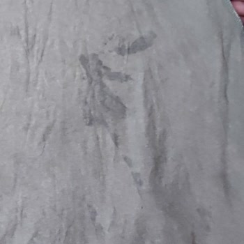 LG Çamaşır Makinesi Ve LG Türkiye Servisi