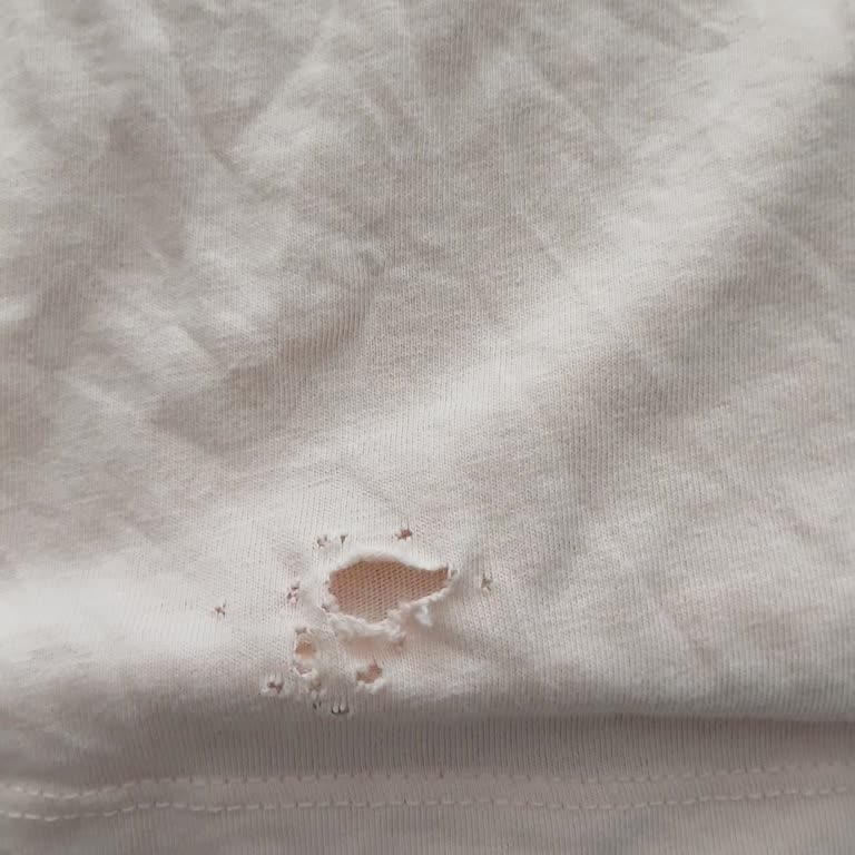 Yeni Çamaşır Makinem Çamaşırlarımı Yırtıyor ve Sorun Çözülemiyor