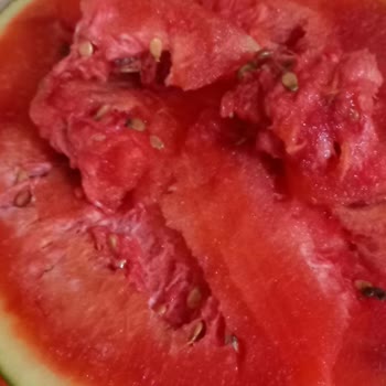 BİM'den Aldığım Karpuzun Kalitesiz Çıkması