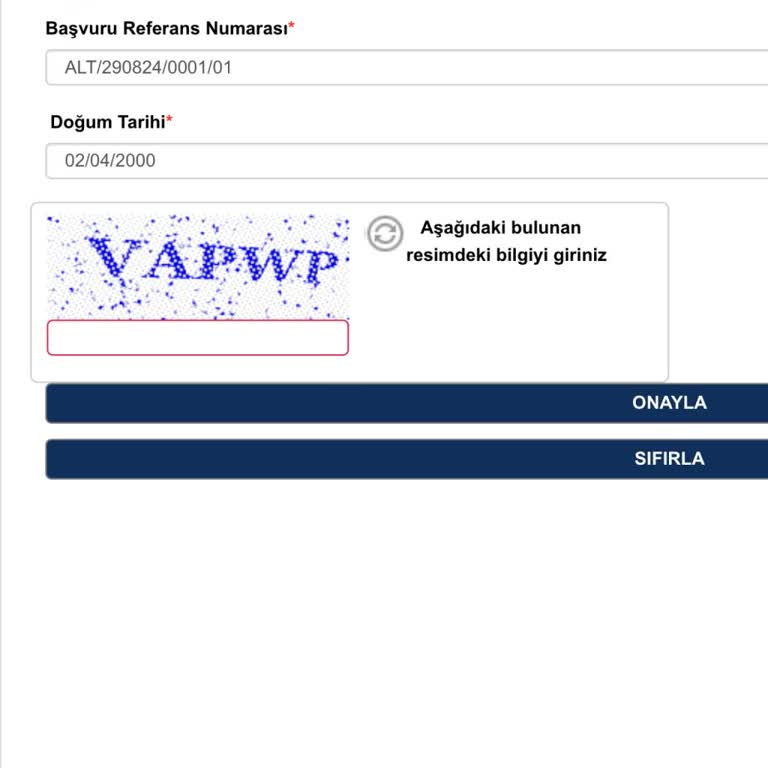 VFS Global Pasaportumu Takip Edemiyorum
