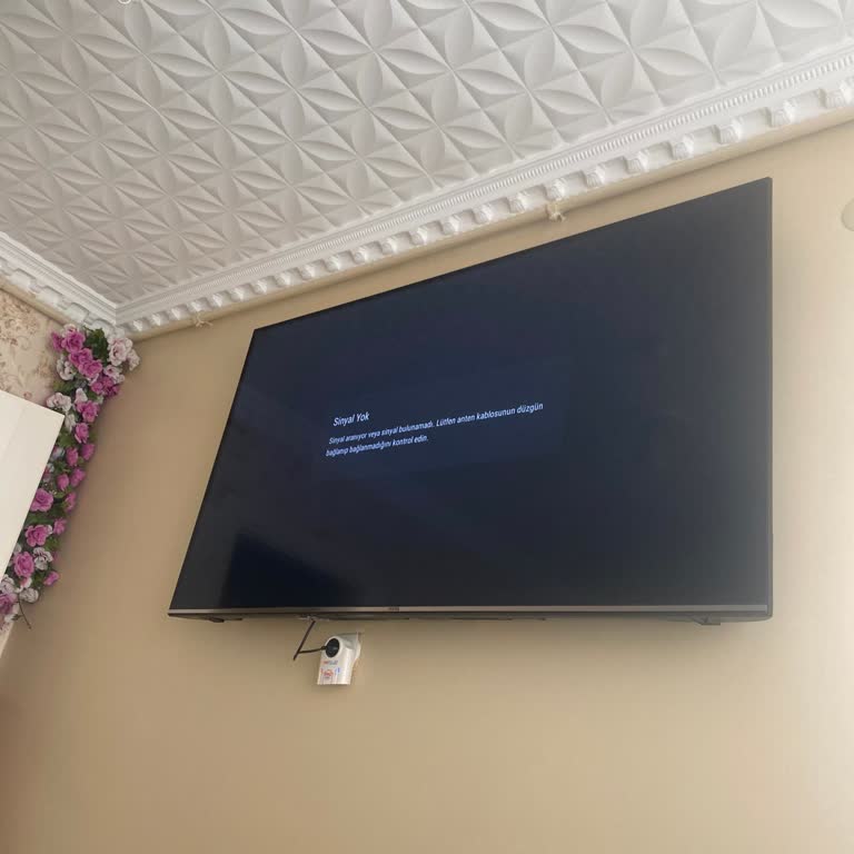 Vestel TV Servisinde Uzun Bekleme Süresi Ve Mağduriyet