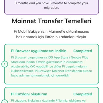 Pi Network Pi Coin Sorunları