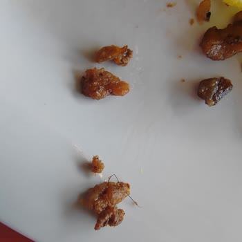 Eskişehir Batıkent Köfteci Yusuf Aşırı Kötü Yemek Deneyimi