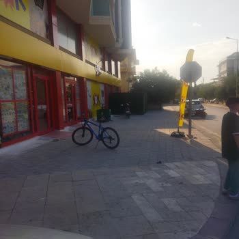 Şok Marketler Ağaç Katli Şok