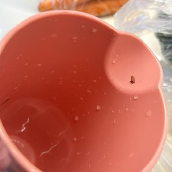 Fuska Suyunda Koca Kanatlı Sinek Şoku!