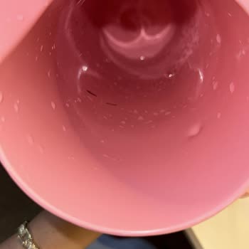 Fuska Suyunda Koca Kanatlı Sinek Şoku!