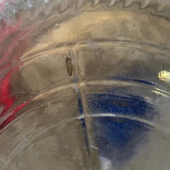 Fuska Suyunda Koca Kanatlı Sinek Şoku!